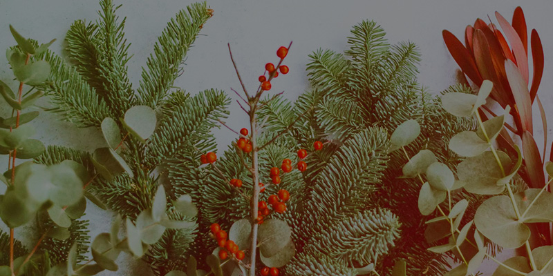 Christmas-Leaves-1-800x400