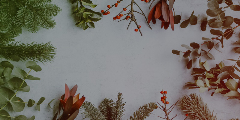 Christmas-Leaves-2-800x400