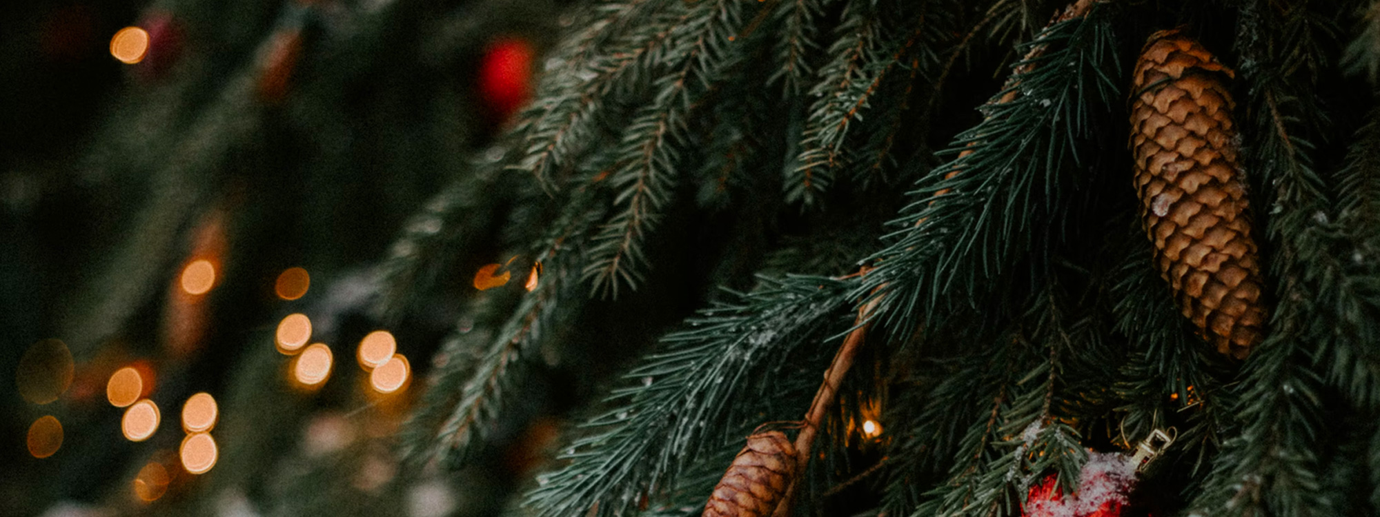 Christmas-Tree-2000x750