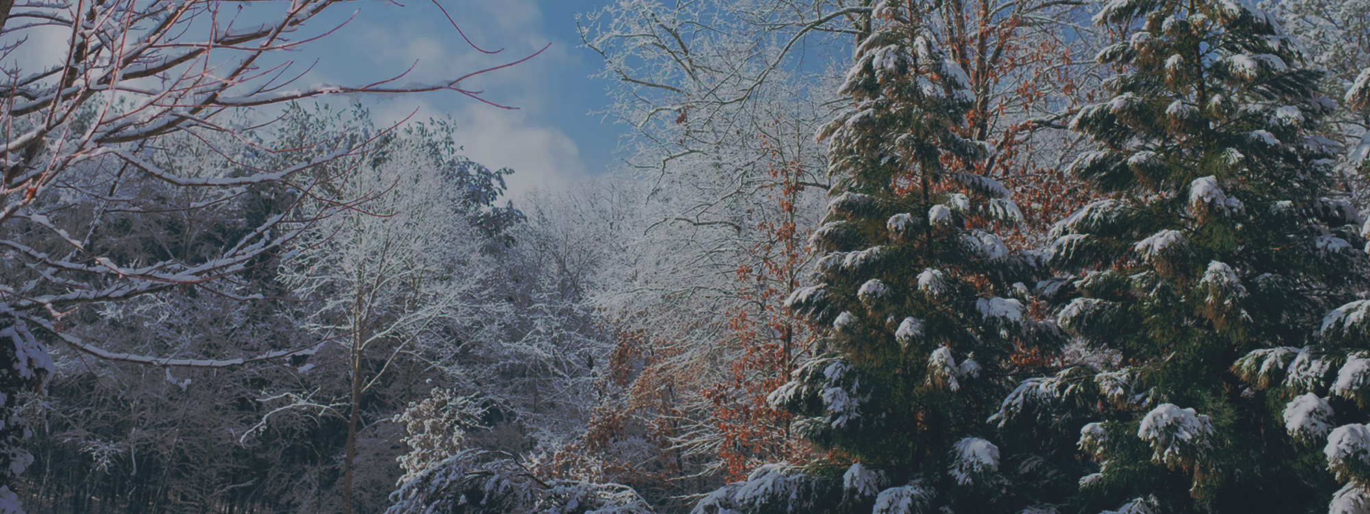 Christmas-Landscape-2000x750