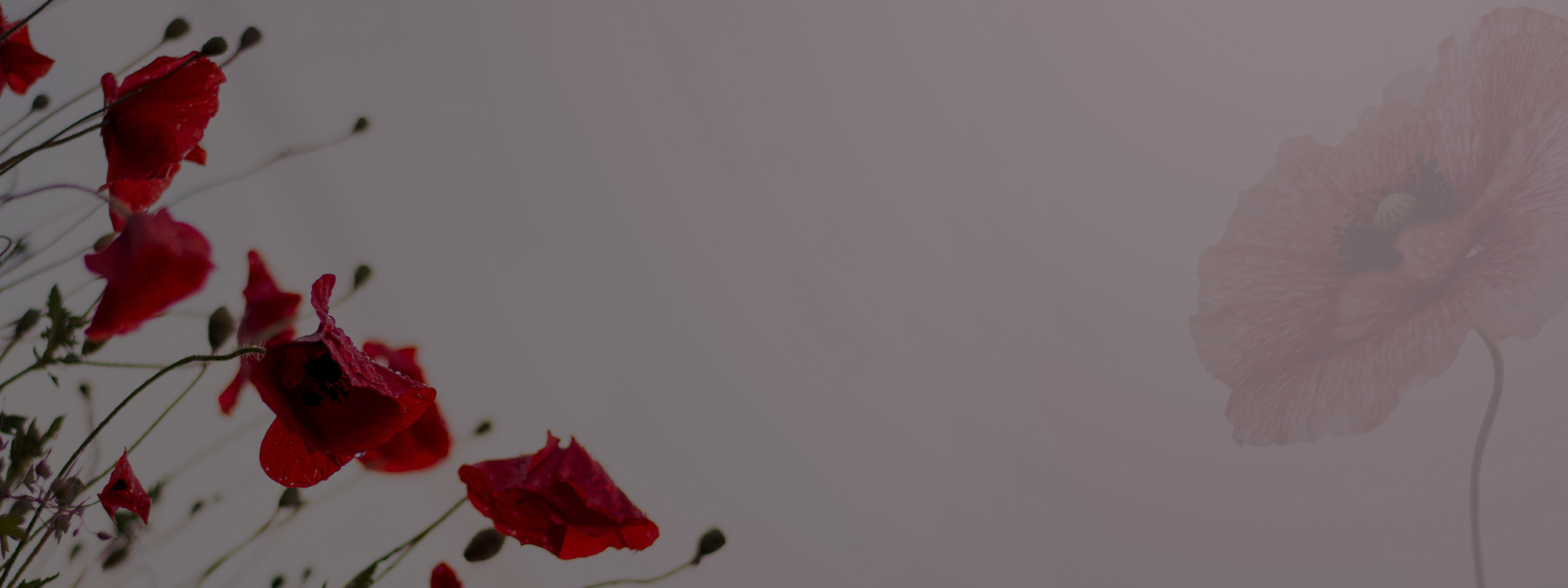 Remembrance-slide-02b