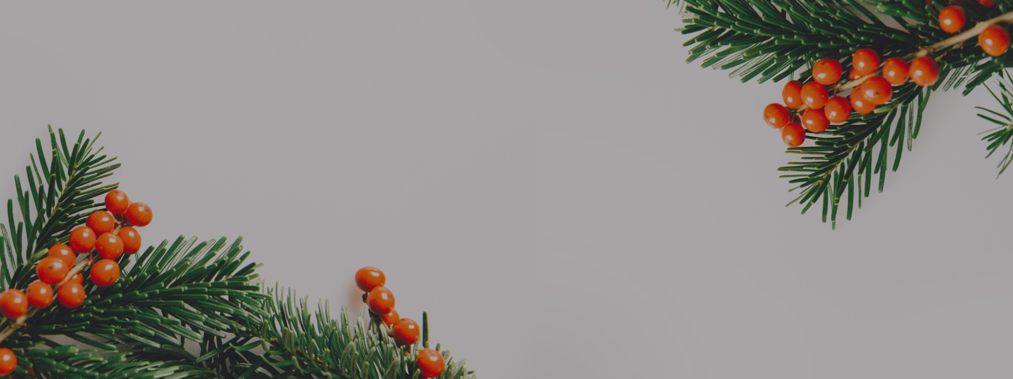 Christmas-berries-2000x750