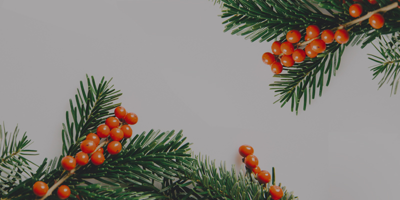 Christmas-berries-800x400