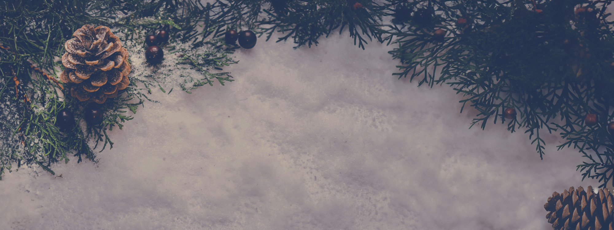 Fir-cones-in-snow-2000x750