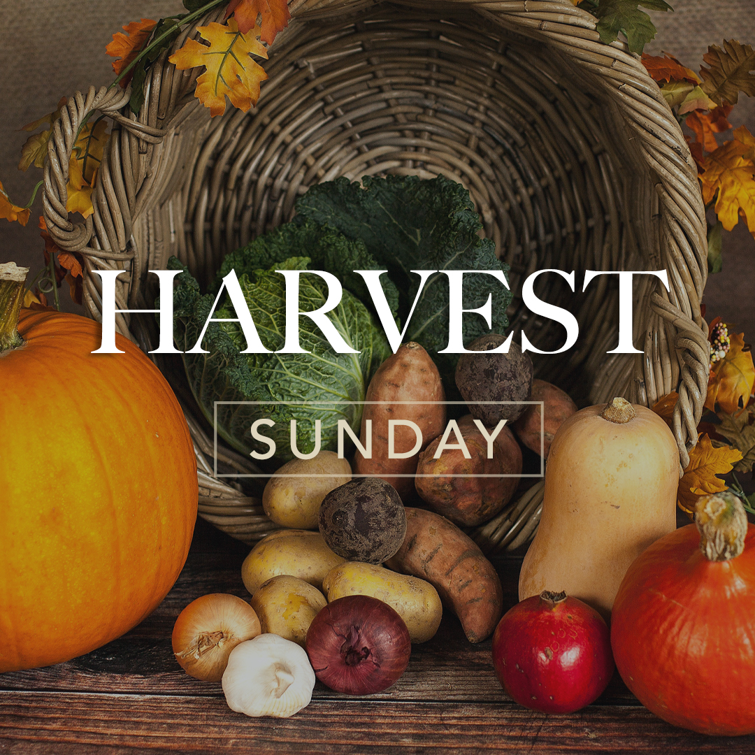 Harvest-image-1080px-03c