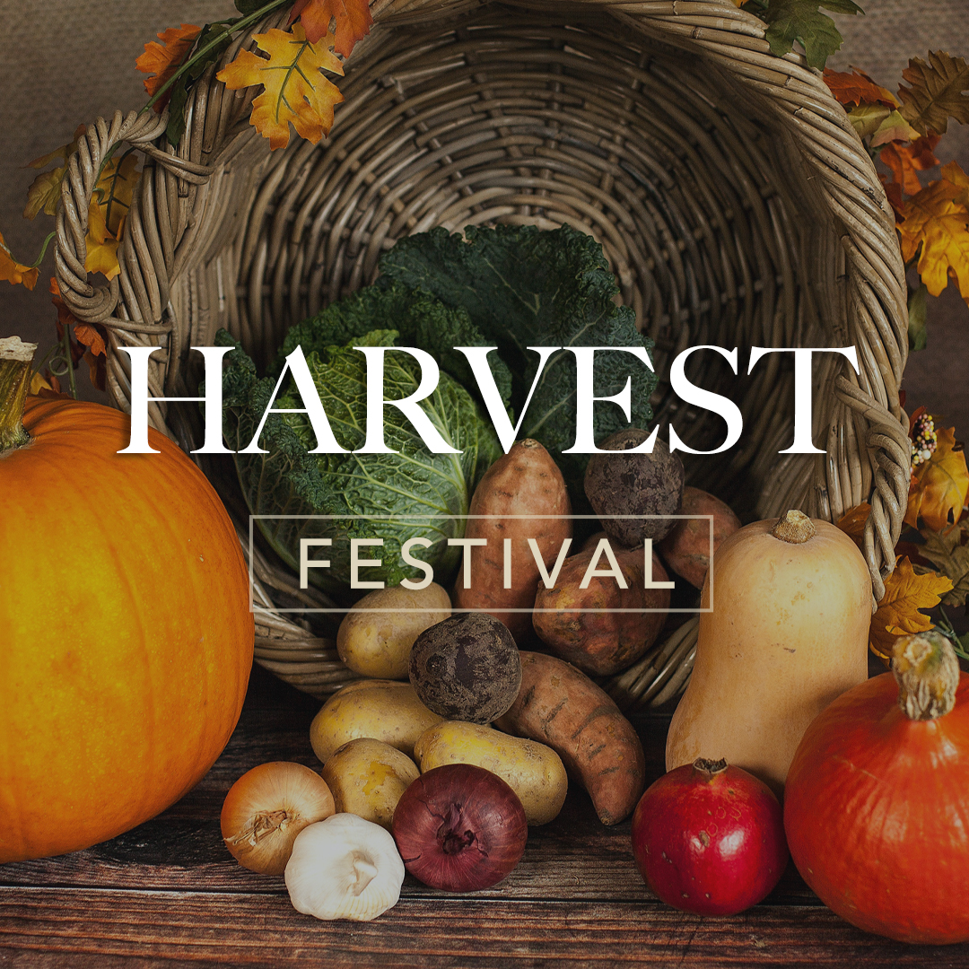 Harvest-image-1080px-03b