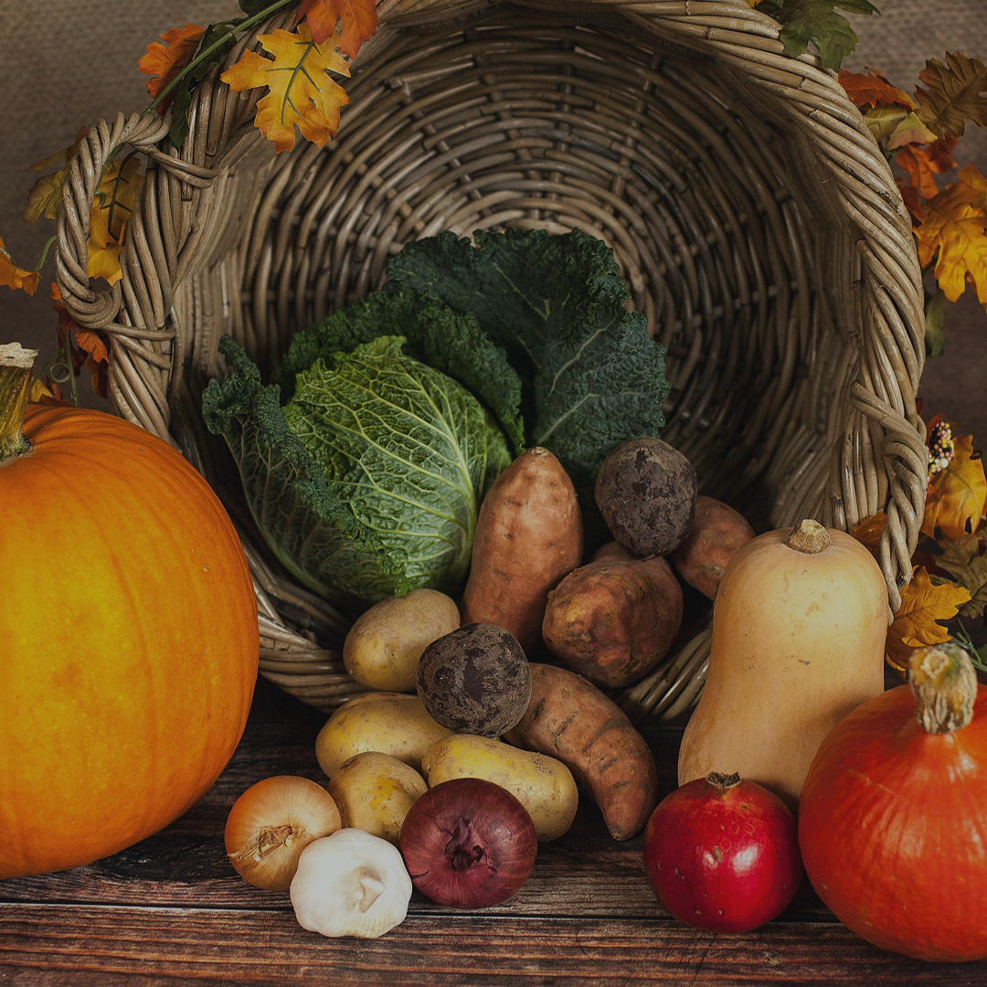 Harvest-image-1080px-03a