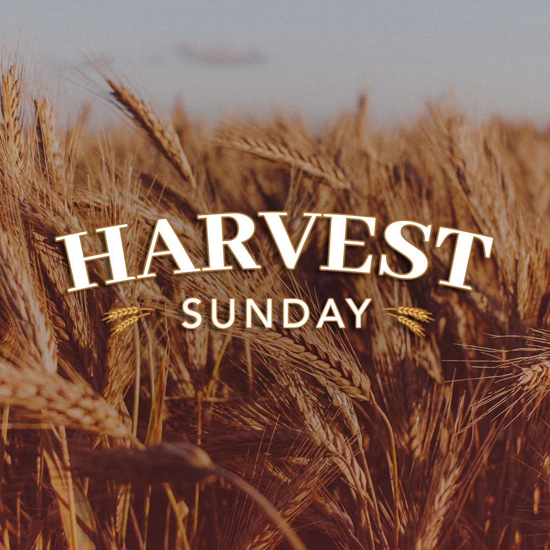 Harvest-image-1080px-02c