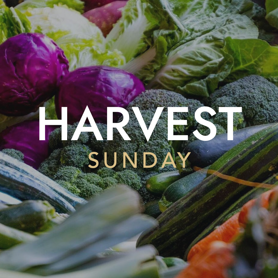 Harvest-image-1080px-01c