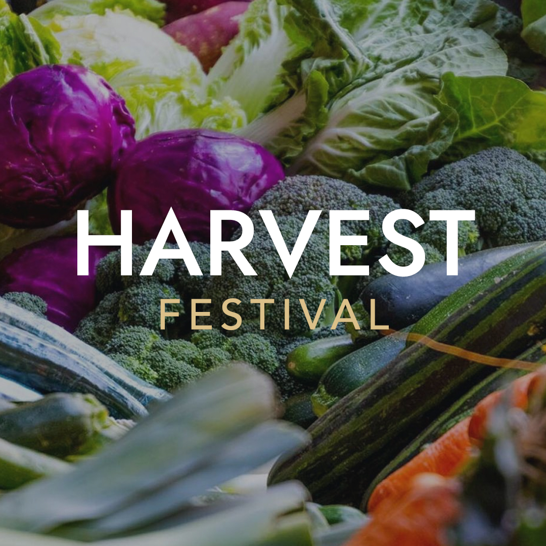 Harvest-image-1080px-01b