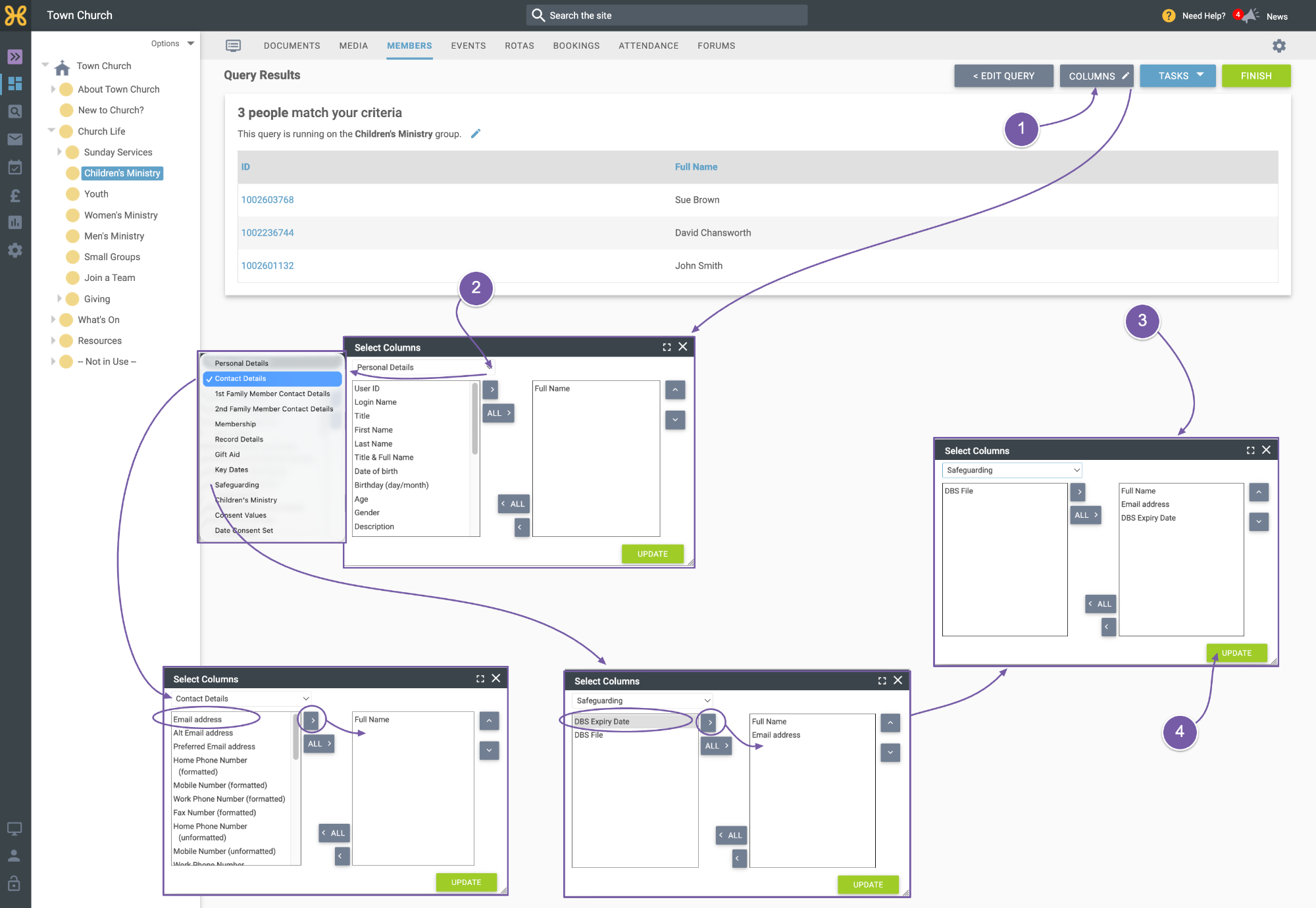 QueryCustomFields 3