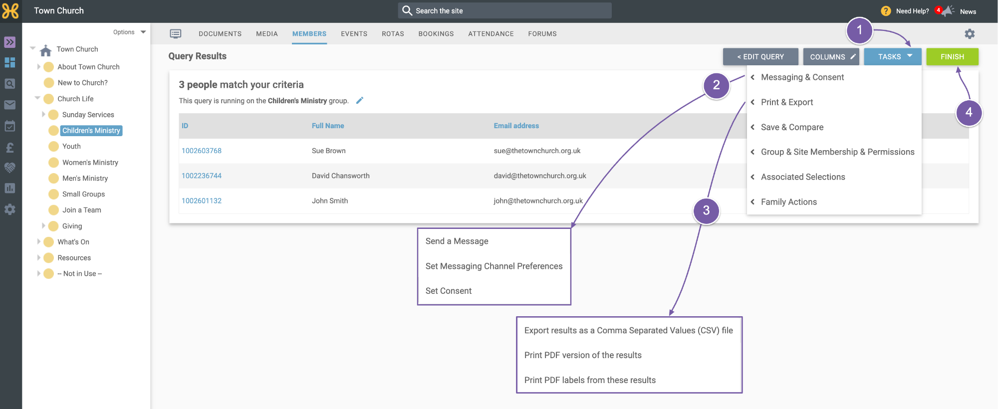 QueryCustomFields 4