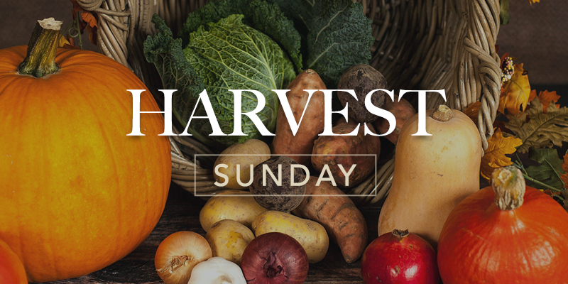 Harvest resources